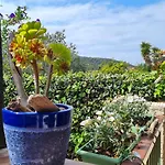 Bel Au Calme Avec Terrasse Apercu Mer, Jardinet Et Piscine *
